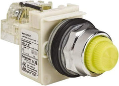 Schneider Electric - 120 VAC Yellow Lens LED Indicating Light - Screw Clamp Connector - Strong Tooling