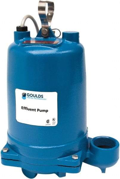 Goulds Pumps - 1 hp, 200 Amp Rating, 200 Volts, Single Speed Continuous Duty Operation, Effluent Pump - 3 Phase, Cast Iron Housing - Strong Tooling