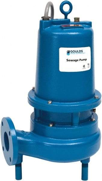 Goulds Pumps - 5 hp, 230 VAC Amp Rating, 230 VAC Volts, Single Speed Continuous Duty Operation, Sewage Pump - 1 Phase, Cast Iron Housing - Strong Tooling