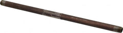 B&K Mueller - Schedule 40, 1/4" Diam x 12" Long Steel Black Pipe Nipple - Threaded - Strong Tooling