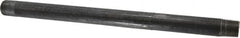 B&K Mueller - Schedule 40, 1/2" Diam x 12" Long Steel Black Pipe Nipple - Threaded - Strong Tooling