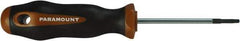 Paramount - T9 Torx Driver - 60mm Blade Length, 6-3/4" OAL, Ergonomic Handle - Strong Tooling