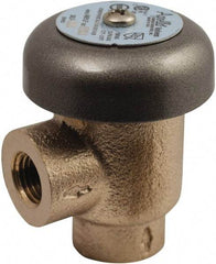 Conbraco - 1/2" Pipe, 125 Max psi, Bronze, Coated Lead Free Bronze, Atmospheric Type Vacuum Breaker Valve - Silicon Carbide Seal, Female NPT End Connections, Use with Potable Water Applications - Strong Tooling