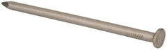 Made in USA - 20D, 6 Gauge, 4" OAL Common Nails - Smooth Shank, T304 Stainless Steel - Strong Tooling