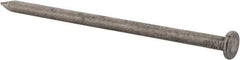 Value Collection - 20D, 6 Gauge, 4" OAL Common Nails - Ring Shank, Grade 2 Steel, Bright Finish - Strong Tooling