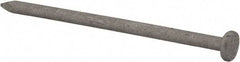 Value Collection - 10D, 9 Gauge, 3" OAL Common Nails - Ring Shank, Grade 2 Steel, Galvanized Finish - Strong Tooling