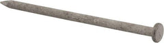 Value Collection - 16D, 8 Gauge, 3-1/2" OAL Common Nails - Ring Shank, Grade 2 Steel, Galvanized Finish - Strong Tooling