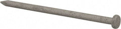 Value Collection - 10D, 9 Gauge, 3" OAL Common Nails - Ring Shank, Grade 2 Steel, Galvanized Finish - Strong Tooling