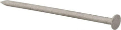 Value Collection - 10D, 11 Gauge, 3" OAL Box Nails - Smooth Shank, Grade 2 Steel, Galvanized Finish - Strong Tooling