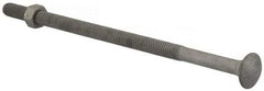 Value Collection - 3/8-16 UNC 8" Length Under Head, Standard Square Neck, Carriage Bolt - 1006-1050 Steel, Galvanized Zinc-Plated Finish - Strong Tooling