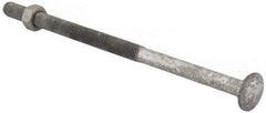 Value Collection - 1/2-13 UNC 10" Length Under Head, Standard Square Neck, Carriage Bolt - 1006-1050 Steel, Galvanized Zinc-Plated Finish - Strong Tooling