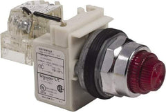 Schneider Electric - 120 VAC Red Lens LED Pilot Light - Round Lens, Screw Clamp Connector - Strong Tooling