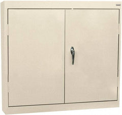 Sandusky Lee - 2 Shelf Wall Storage Cabinet - Steel, 30" Wide x 12" Deep x 30" High, Putty - Strong Tooling