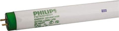 Philips - 25 Watt Fluorescent Tubular Medium Bi-Pin Lamp - 5,000°K Color Temp, 2,400 Lumens, T8, 36,000 hr Avg Life - Strong Tooling