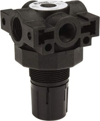 Parker - 3/8 NPT Port, Plastic Miniature Regulator - 0 to 125 psi Range, 150 Max psi Supply Pressure, 1/4" Gauge Port Thread, 2.06" Wide x 3.43" High - Strong Tooling