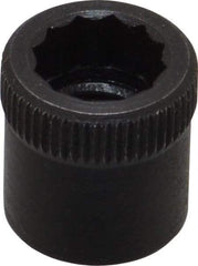 Holo-Krome - 5/16-24" Thread Uncoated Steel Allen Nut - 5/16" Diam, 5/16" Hex Key - Strong Tooling