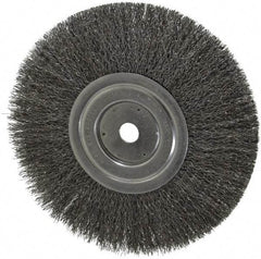 Weiler - 8" OD, 5/8" Arbor Hole, Crimped Steel Wheel Brush - 1/2" Face Width, 2-1/16" Trim Length, 0.0118" Filament Diam, 6,000 RPM - Strong Tooling