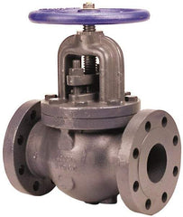 NIBCO - 2-1/2" Pipe, Flanged Ends, Iron Renewable Globe Valve - Bronze Disc, Bolted Bonnet, 500 psi WOG, 250 psi WSP, Class 250 - Strong Tooling