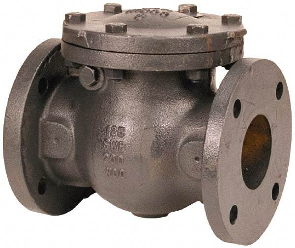 NIBCO - 2" 3% Nickel Check Valve - Flanged, 200 WOG - Strong Tooling