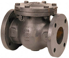 NIBCO - 8" Cast Iron Check Valve - Flanged, 200 WOG - Strong Tooling