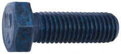 Metric Blue - M12x1.75mm Metric Coarse, 25mm Length Under Head Hex Head Cap Screw - Strong Tooling