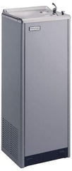 Halsey Taylor - 8 GPH Cooling Capacity Deluxe Floor Standing Water Cooler & Fountain - 0.16 hp, Optional Glass Filler Sold Separately - Strong Tooling