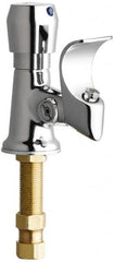 Chicago Faucets - Drinking Fountain - Push Button Operated Bubbler, Brass - Strong Tooling