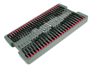 51PC PRECISION DRIVERS TRAY SET - Strong Tooling