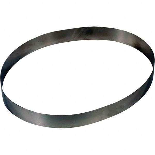 Zebra Skimmers - Oil Skimmer Accessories Type: Belt For Use With: Belt Oil Skimmer - Strong Tooling