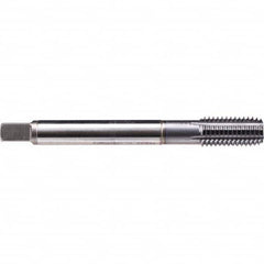 Emuge - Thread Forming STI Taps Thread Size (Inch): #6-32 Class of Fit: 2B - Strong Tooling