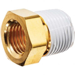 USA Sealing - 3/4 x 1/4" Brass Pipe Hex Bushing - Strong Tooling