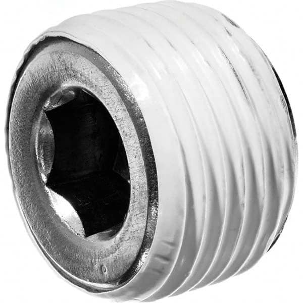 Pipe Hex Socket Plug: 1/4″ Fitting, 316 Stainless Steel MNPT with Thread Sealant, 150 psi