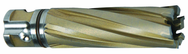 19MM X 50MM CARBIDE CUTTER - Strong Tooling