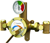 Guardian tempering valve blends hot and cold water to deliver tepid water. Flow capacity is 3.0 to 34 GPM, for use with a single emergency shower, or multiple eyewash, eye/face wash, eyewash/drench hose or drench hose units. - Strong Tooling